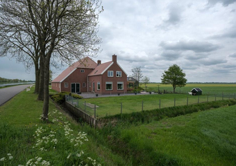 Hoendiep 7